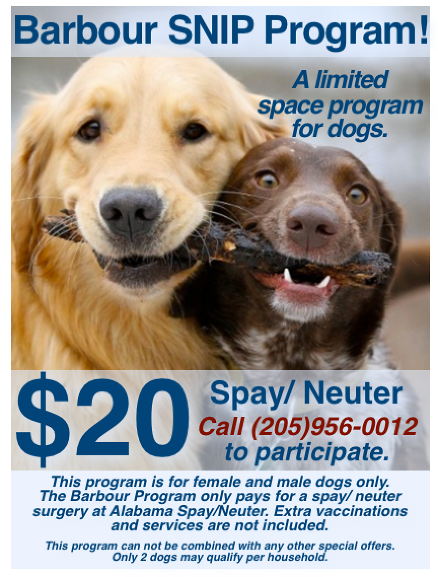 ALspayneuter's tweet photo. Thank you Bernice Barbour Foundation for making the The Barbour SNIP possible! 
#SpayNeuter https://t.co/LI4c5sOkwO