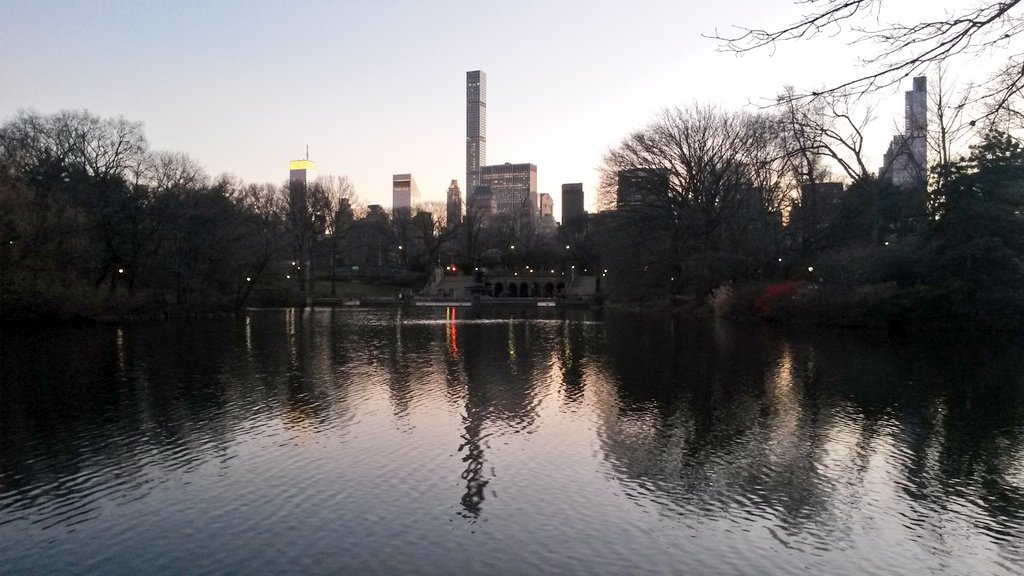 perfectliltweet's tweet photo. Out for a sunset run in #CentralPark. I'm running #everypath around the Lake today. https://t.co/bHyGFLdXvd
