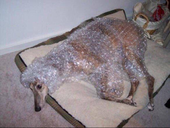 thefemaleboook's tweet photo. when ur feeling sensitive and don't want ur feelings to get hurt https://t.co/q8GgZaDHlr