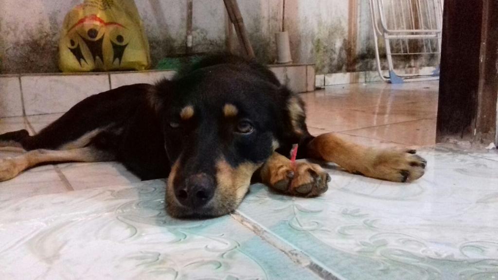 gbrites's tweet image. Hora de descansar