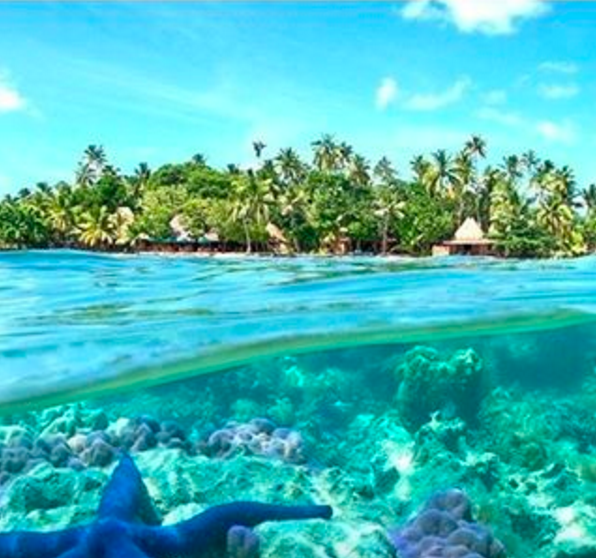 FuninFiji's tweet photo. Not too shabby of an early morning wake up call here in Fiji! https://t.co/6Ap0B9dVQQ via @TourismFiji #fiji #ocean https://t.co/oXhOh1eOMS