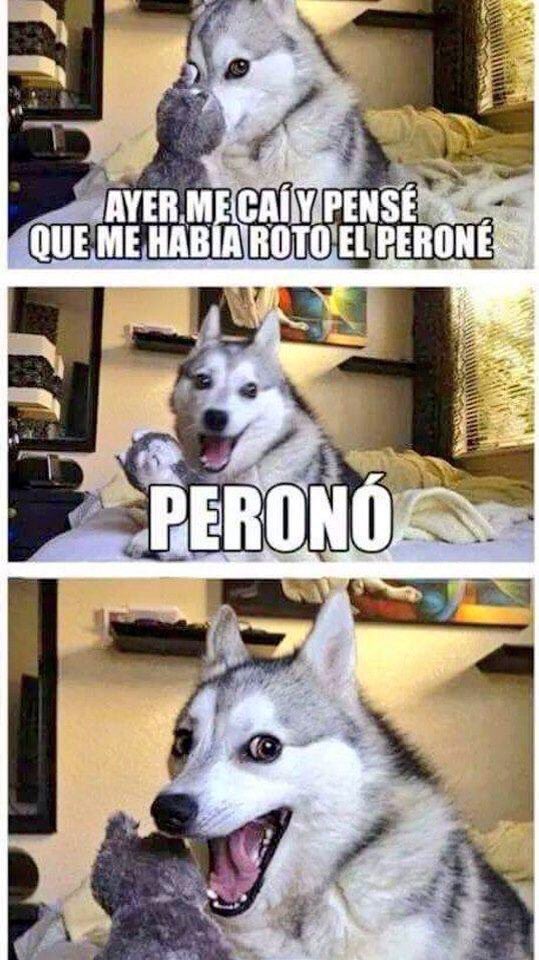 chistesdelengua's tweet photo. (Vía @CezonFelix) https://t.co/Ft8sYtpoBz