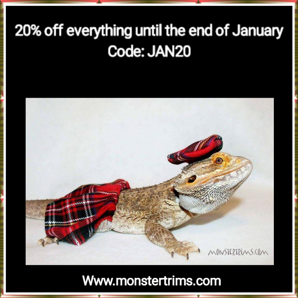 MonsterTrims's tweet photo. 20% off all bearded Dragon/small animal clothing. At https://t.co/IjgKxzqdNR #beardies #clothing @DressedAnimaIs https://t.co/UNppF3Faah