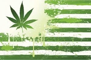 FreeMrWeed's tweet photo. #FREEMRWEED #INAMERICA #aroundtheworld #leagilze #it #now #freetheweedinamerica #weedvsalcohol #WEED #420 https://t.co/vtOr7NhRcH