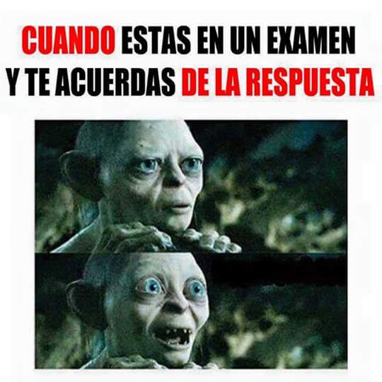 TOC588's tweet image. 