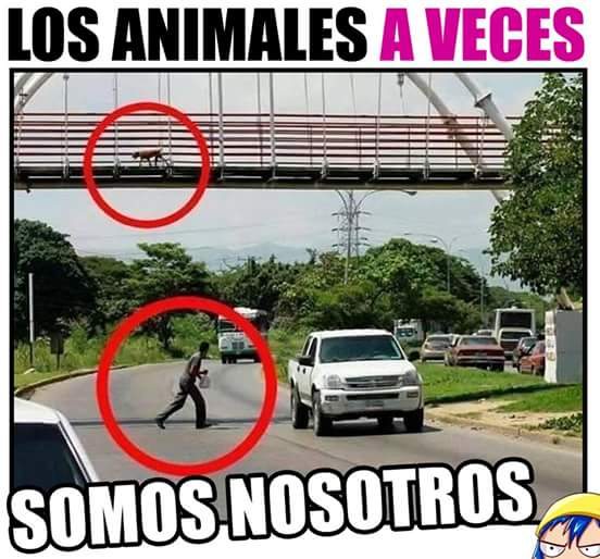 TOC588's tweet image. 