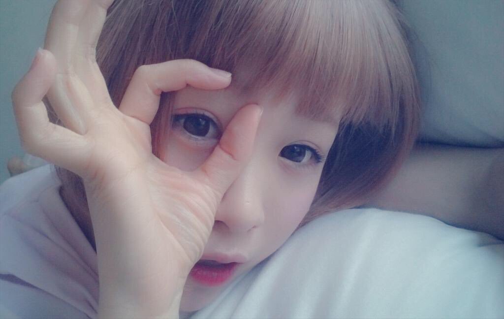 花ちゃんかわいいかわいいbot Hanachan Kawaii Twitter 花ちゃんかわいいかわいいbot Hanachan Kawaii Twitter