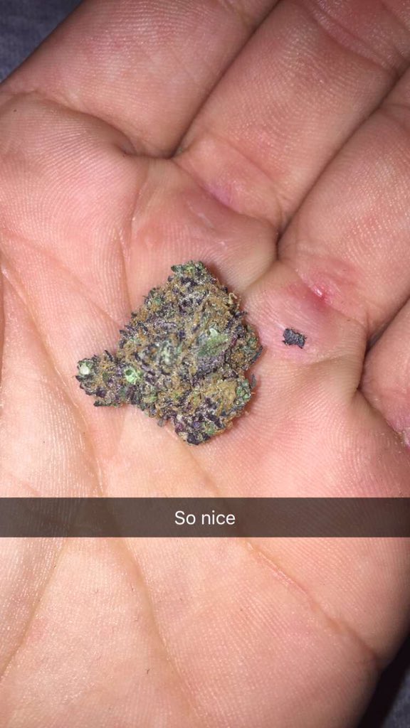 WeedStrains156's tweet photo. Blue Moon Rocks #StayHigh https://t.co/0jtBqOq4W8