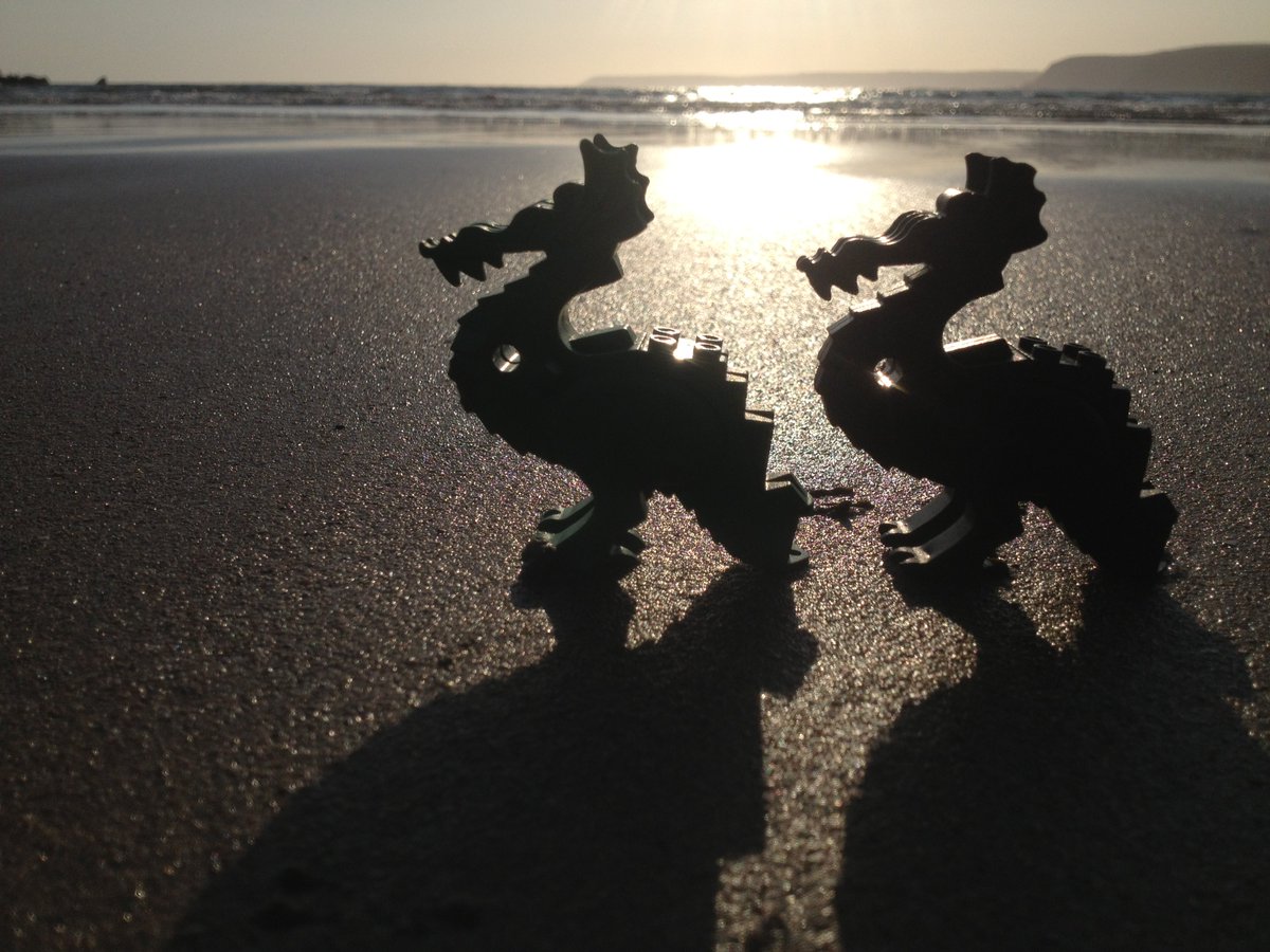 Newquaybeach's tweet image. @TheRealJackDee We don't just find #HPcartridges and #toygorillas we find #Legodragons too #legolostatsea