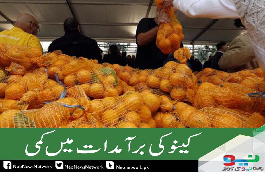 wisdomPearl_'s tweet image. #NeoAlert: Low Orange Yields Cut Pakistan Exports By 1.5 LAC Tonne