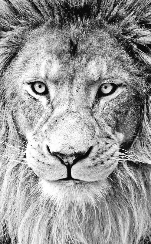 Rocky mahato tweet media