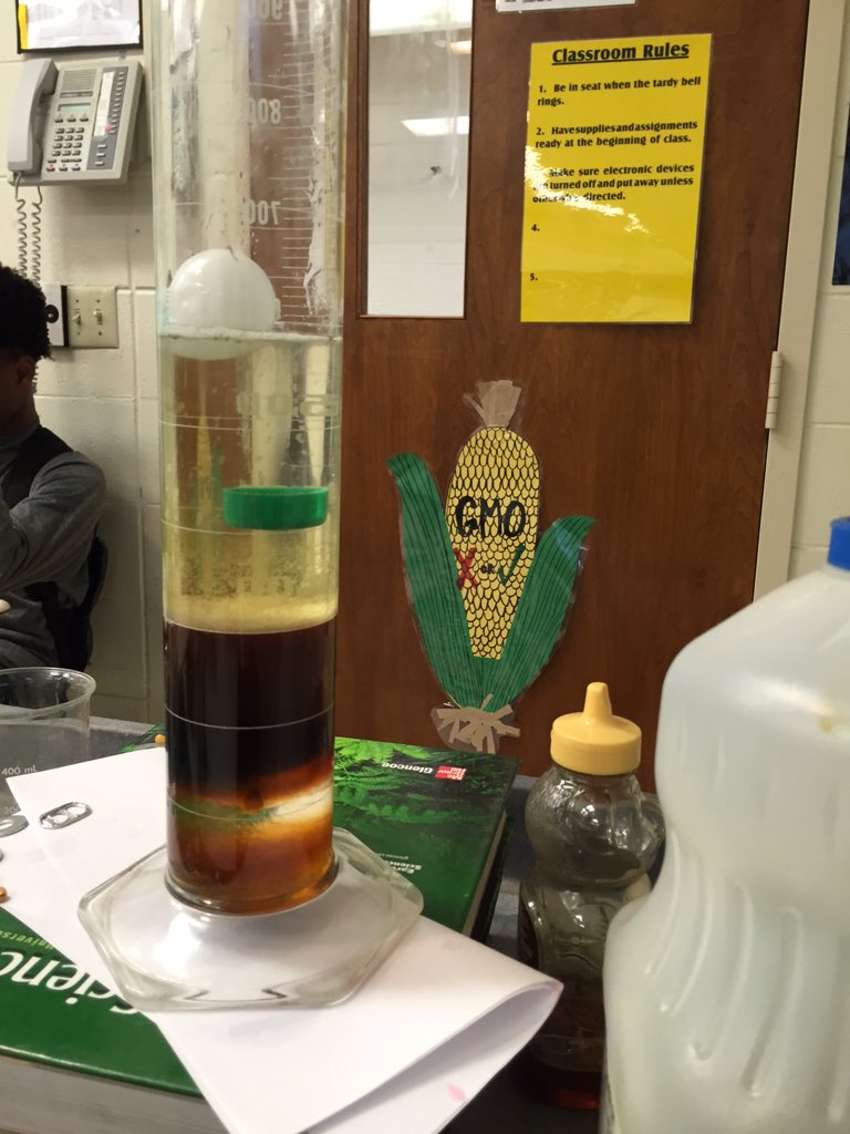 bioteacherswag's tweet photo. density column in #eathscience today! 🌋 https://t.co/BLn5LGfpGj