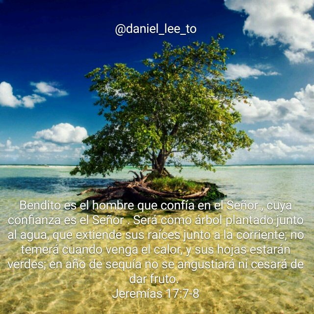 daniel_lee_to's tweet photo. Sólo en ti Dios mío

#SoloEnDiosConfio https://t.co/KZxXaejYle