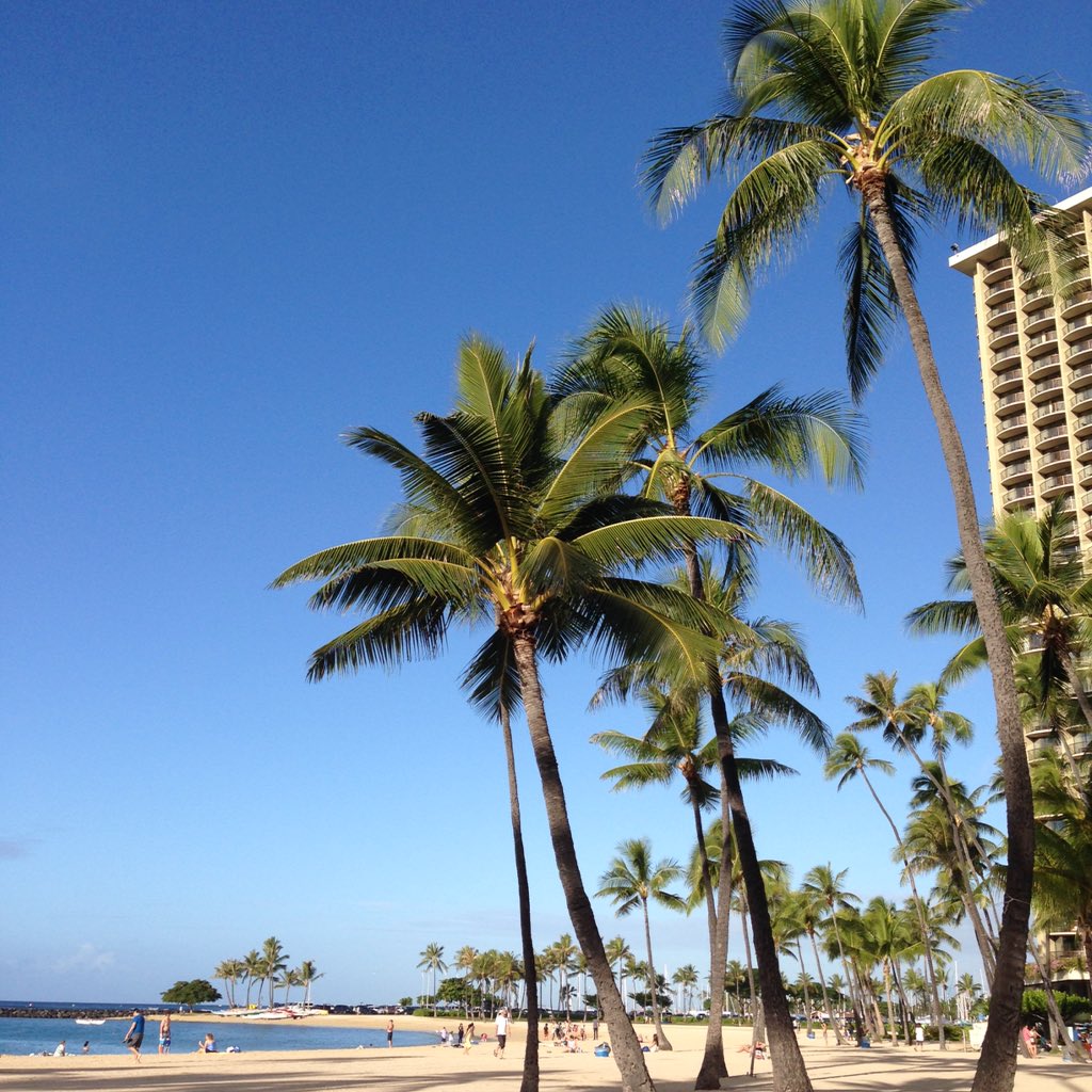 WencheeLiu's tweet photo. Hawaii, you're beautiful!! #Hawaii #honolulu #vacation #paradise https://t.co/hwj5R2y2im