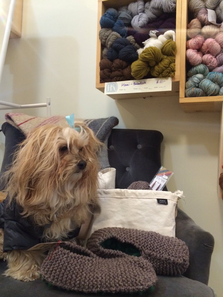 Cubo_Nadine's tweet photo. Really more yarn mom..? ...*yawn, k1 p2*  #knitinspiration love this store! @handknityarn https://t.co/0YKaT1zvj3
