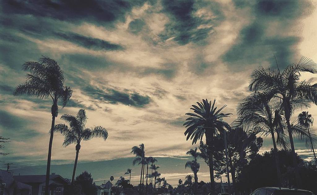 CaTurfPros's tweet photo. Sometimes I get a little carried away in the edits 😬 #SanDiego #NorthPark #MySdPhoto #igerssd by andrewbarrack on … https://t.co/kOSI6Z0rPw