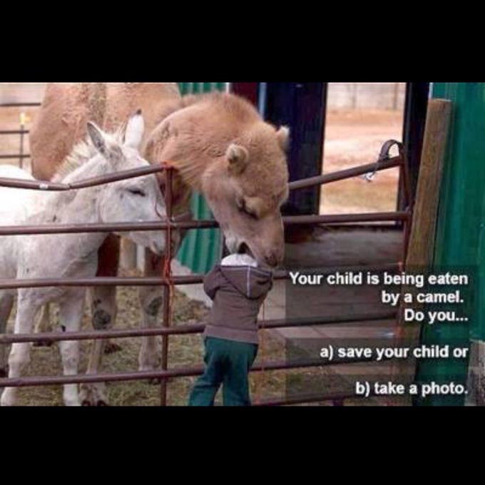 Hahahah 🐪 https://t.co/O4FCGsMiWO<a href="/tag/starbucks"class="tags"><span>#starbucks</span></a><a href="/tag/starbucksredcup"class="tags"><span>#starbucksredcup</span></a>