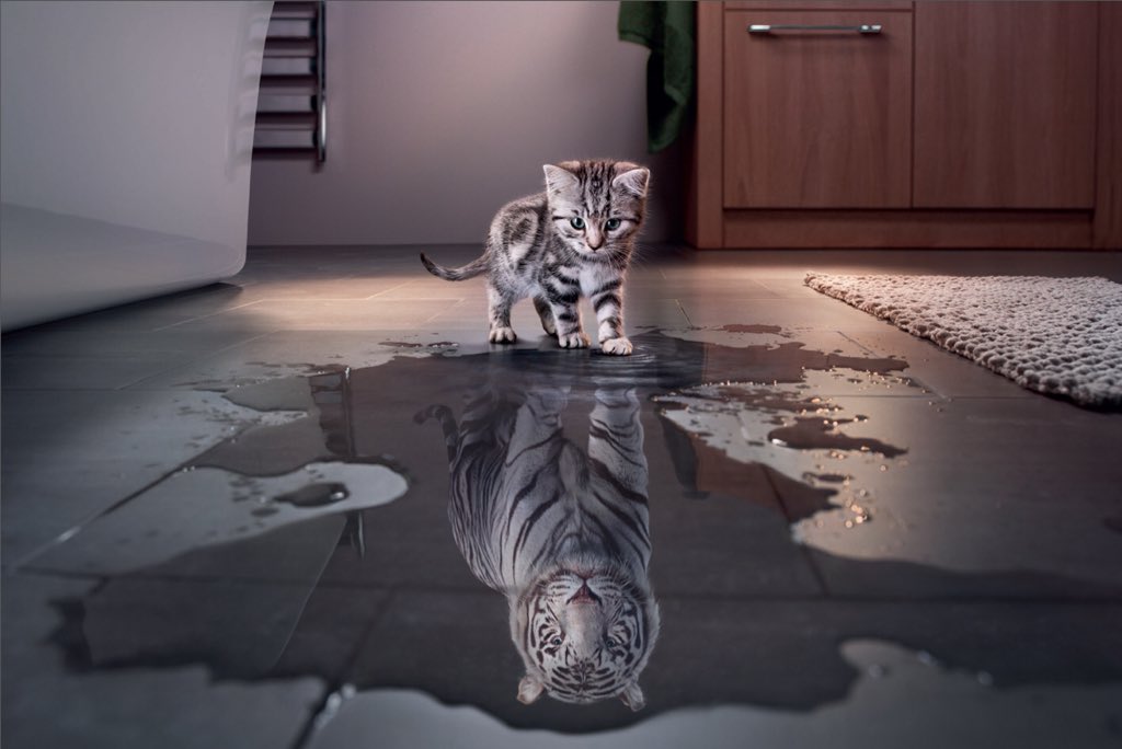 Прямая ссылка на встроенное изображение