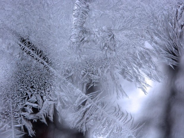 Замерзший ветер. Зимние причуды природы. Замерзший ветер. Человек в снегу смешные. Люди зимой на улице.