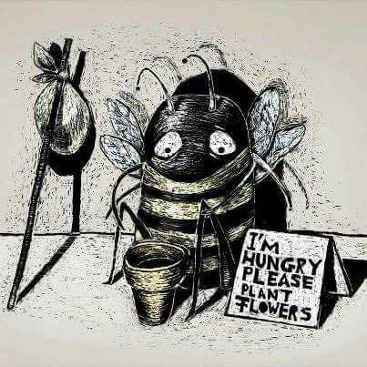 Podemos_AND's tweet photo. Las abejas están desapareciendo, sin ellas no hay polinización, y con el tiempo no habrá naturaleza... https://t.co/4AcUicfaXG