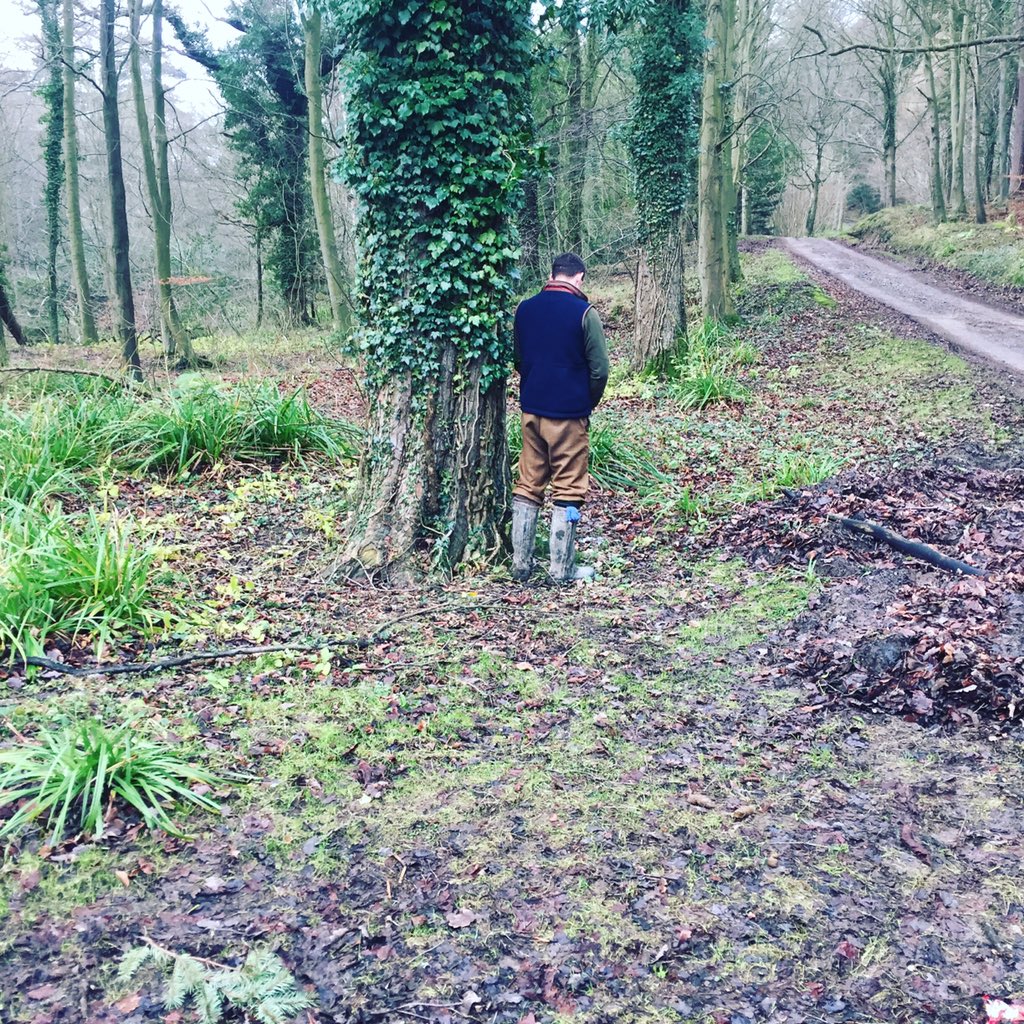 johnsonbrownfs's tweet photo. @amfitness13 at your best! https://t.co/hfEk7gTBrl