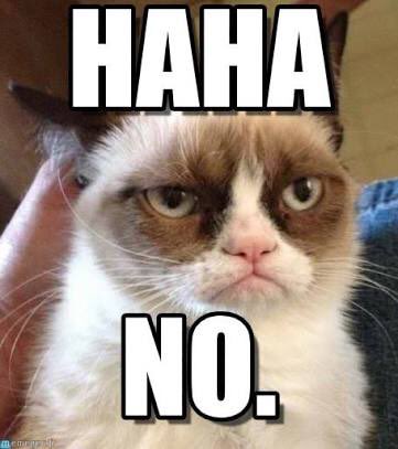 Мем ноу. Котик говорит. Мемы с котиками. Неть котик. Кот говорит нет.