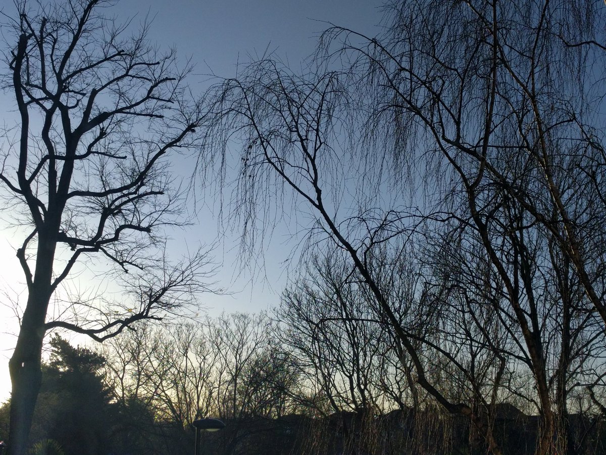 alvayoga's tweet photo. Gorgeous morning everyone! On my way to teach 10am #coolflow @bikramsurbiton #NotHeated https://t.co/xAC2hY0Yg9
