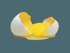 travblazer's tweet photo. 10 Foods That You Should Never Go Camping Without: https://t.co/llBzCAFPKn https://t.co/k6KrqML7Wi