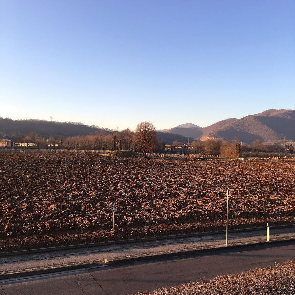 UcciB's tweet photo. A primavera qui sarà tutto vigneto #ilmosnel #franciacorta #vineyards #vino #wine https://t.co/e2Suq6E8pm https://t.co/eBA9z0k3jG