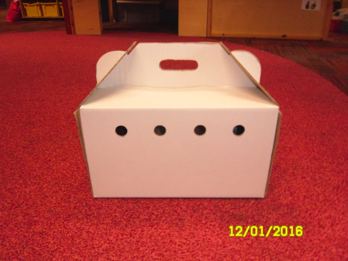 ClassEdinburgh's tweet photo. We have started to look at the story 'Dear Zoo'
We had lots of fun guessing what was inside the box! https://t.co/o03V1Et1vp