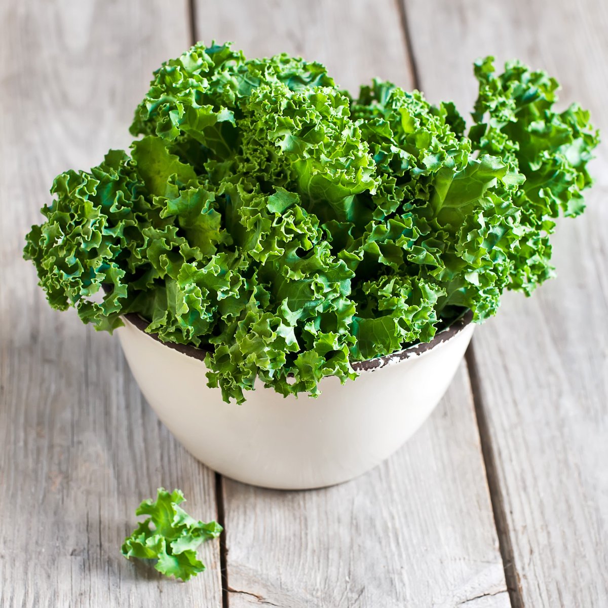 juiceplus's tweet photo. #DYK Kale is one of few vegetables that becomes more abundant &amp; flavorful during the cold, winter months? #Superfood https://t.co/zuKHwKoocT