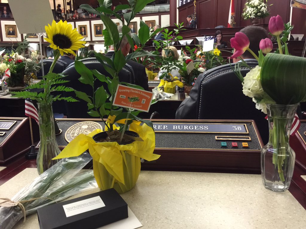 DannyBurgessFL's tweet image. And so it begins...the #2016Session is officially underway! #sayfie