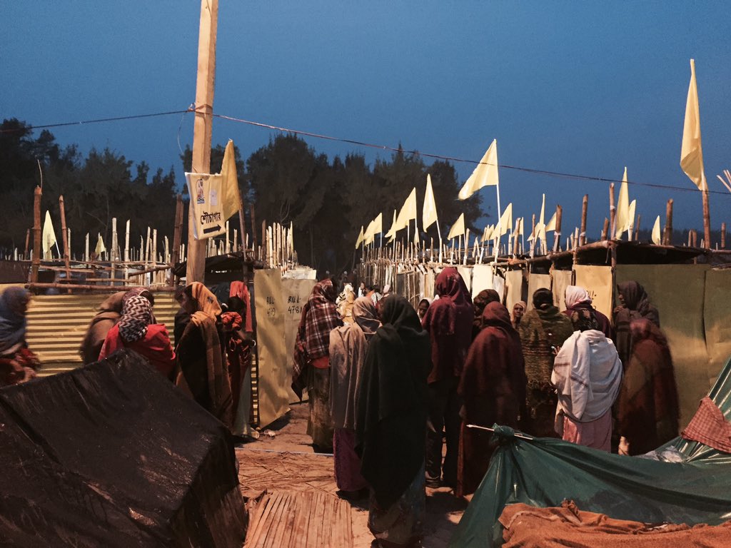 Women lining up to use toilets - mela with a message .