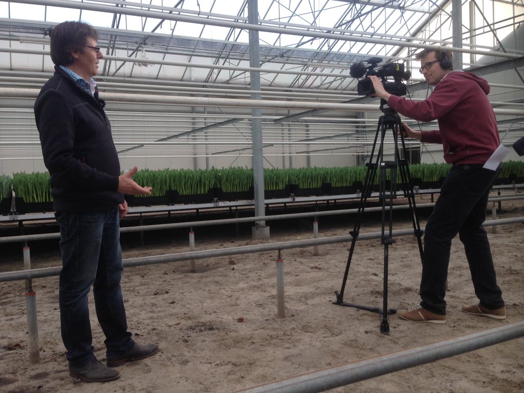 JanMantel's tweet image. Opnames voor de #tulpendag door het programma landinwaarts van de ntr. Uitzending vrijdag 19.15 npo2.