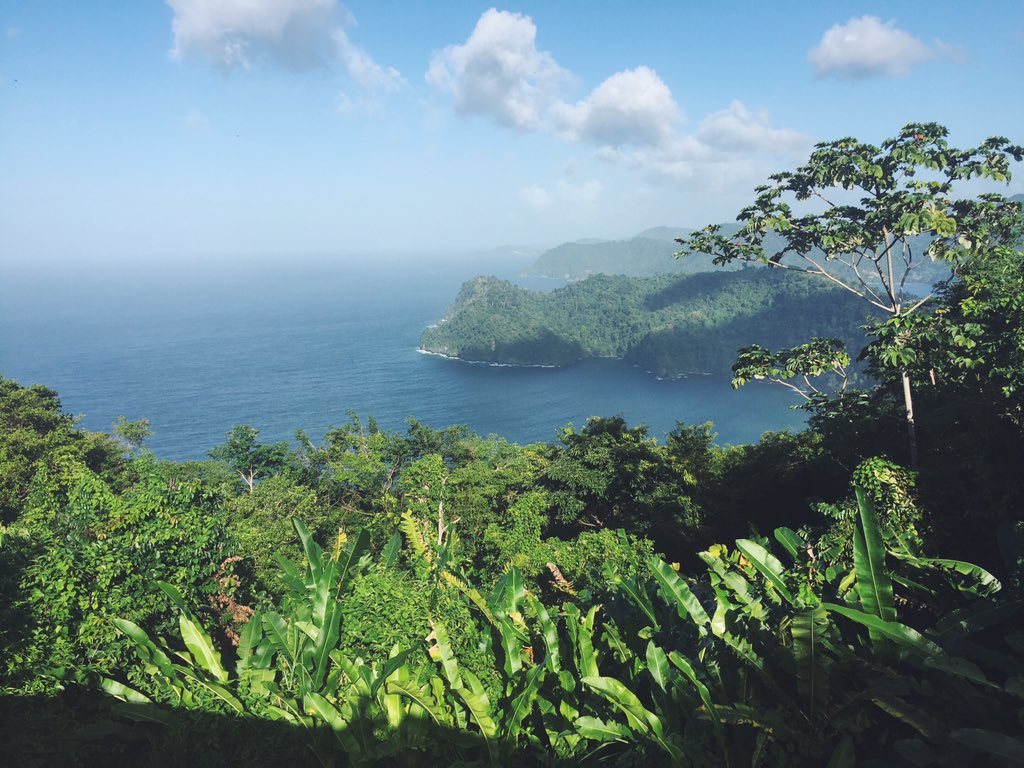 ltgreen4nature's tweet photo. #TrinidadAndTobago #Nature RT @justinjoeman "...Trinidad and Tobago. High views, beach life &amp; treks to the waterfall https://t.co/13BTVdxzUG