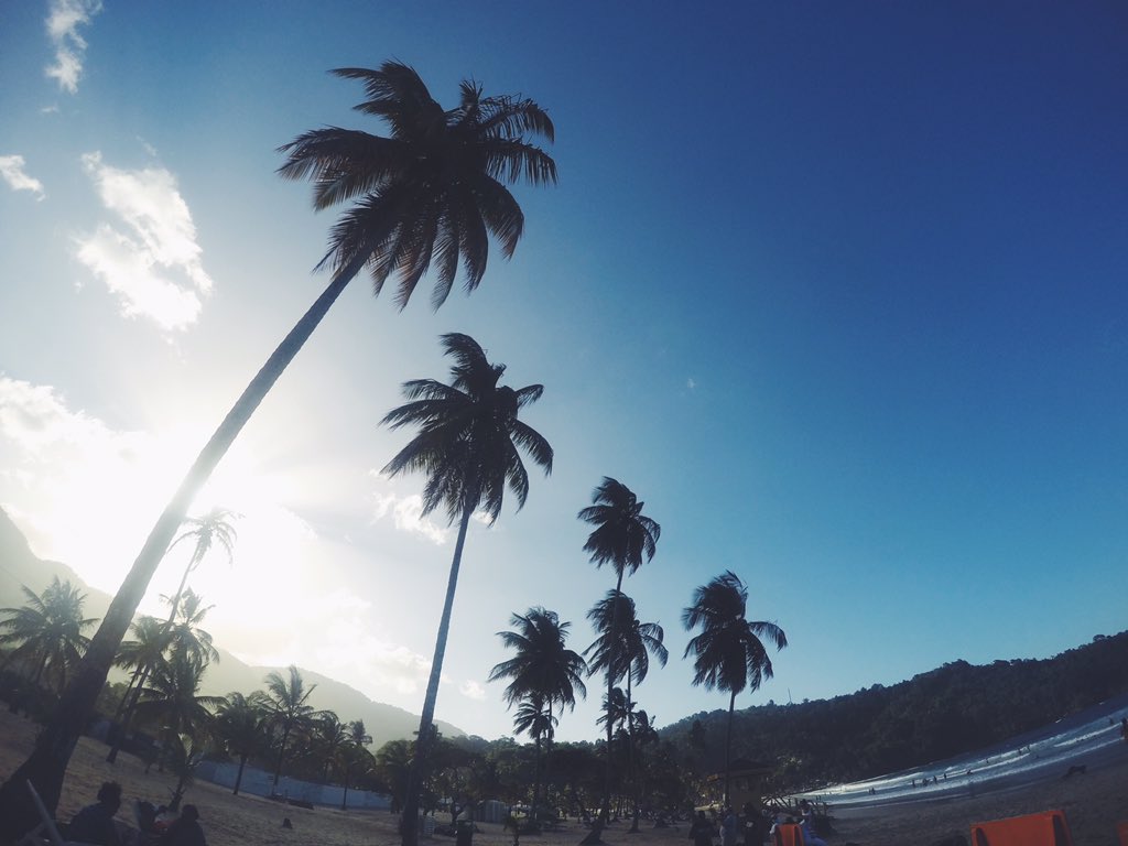 ltgreen4nature's tweet photo. #TrinidadAndTobago #Nature RT @justinjoeman "...Trinidad and Tobago. High views, beach life &amp; treks to the waterfall https://t.co/13BTVdxzUG