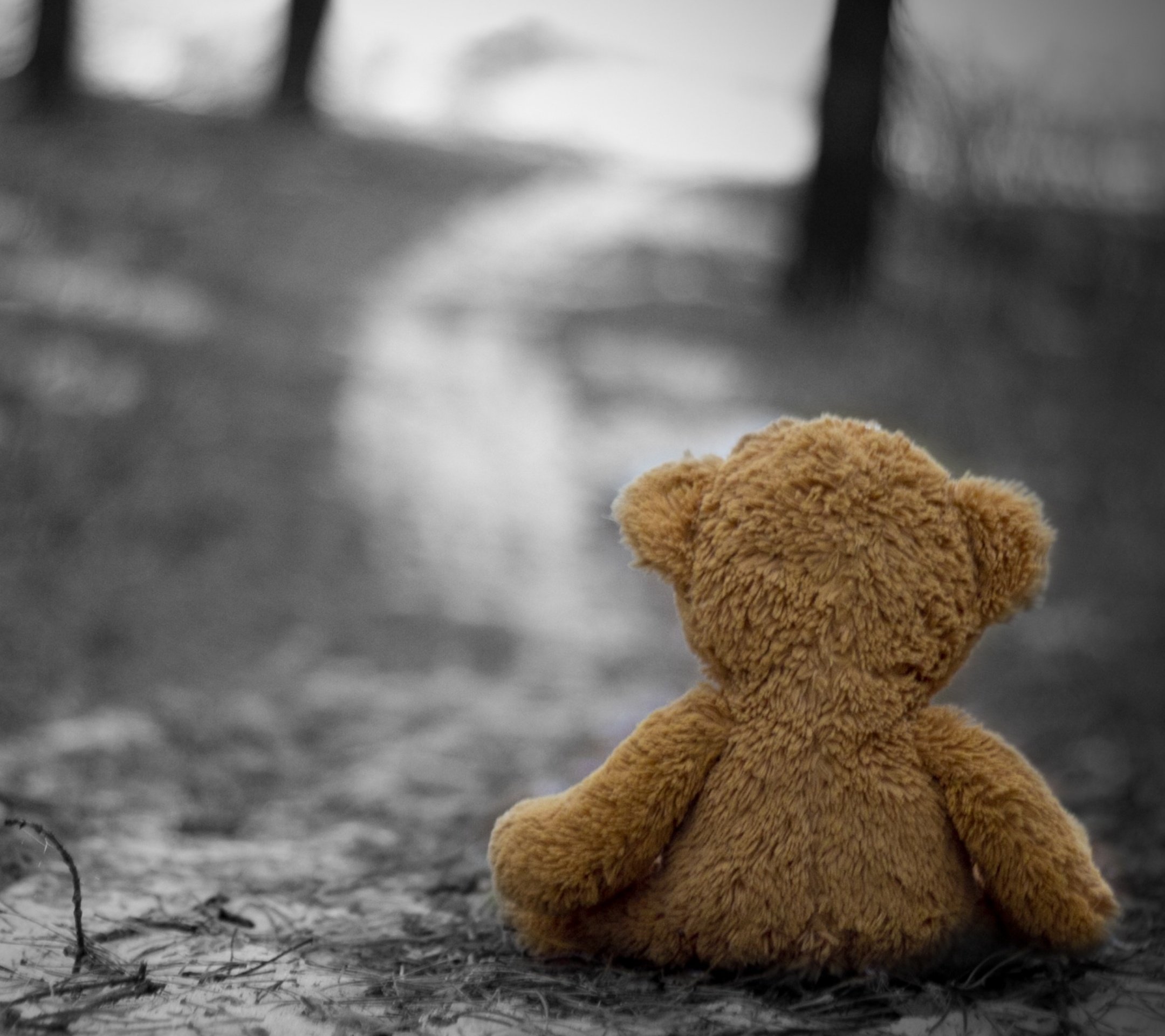 Lonely teddy bear 2025