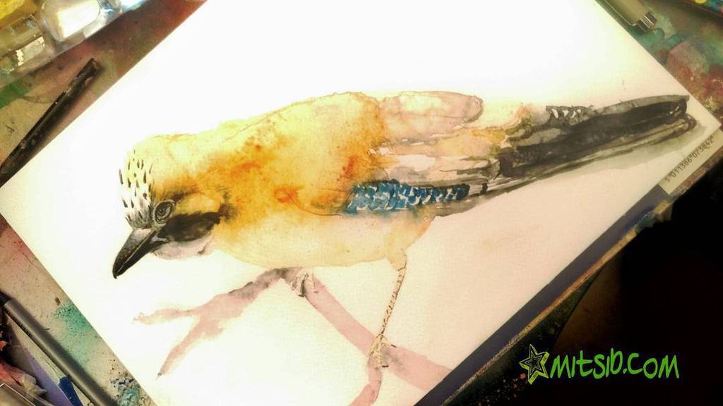 mitsirabbit's tweet photo. My 5th attemp and i am finally happy wuth my jay bird
#52weeksofwatercolourbirds https://t.co/PtXTyORqQ2 https://t.co/Kqb5RDyMtO