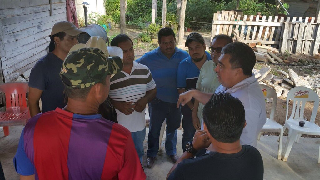 GMendicutiMX's tweet photo. Piñeros de Pedro A. Santos han demostrado que la actividad agrícola en QRoo SÍ puede ser exitosa https://t.co/ZWUZsieCfx