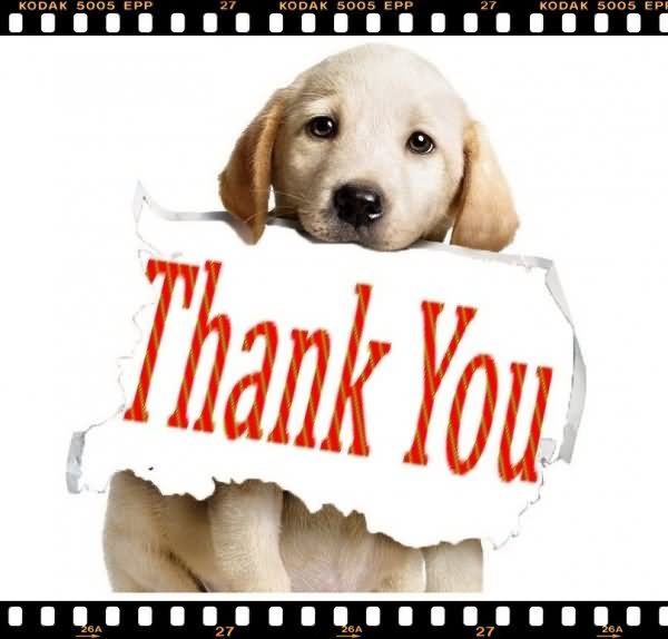 thank you dog clipart - photo #18