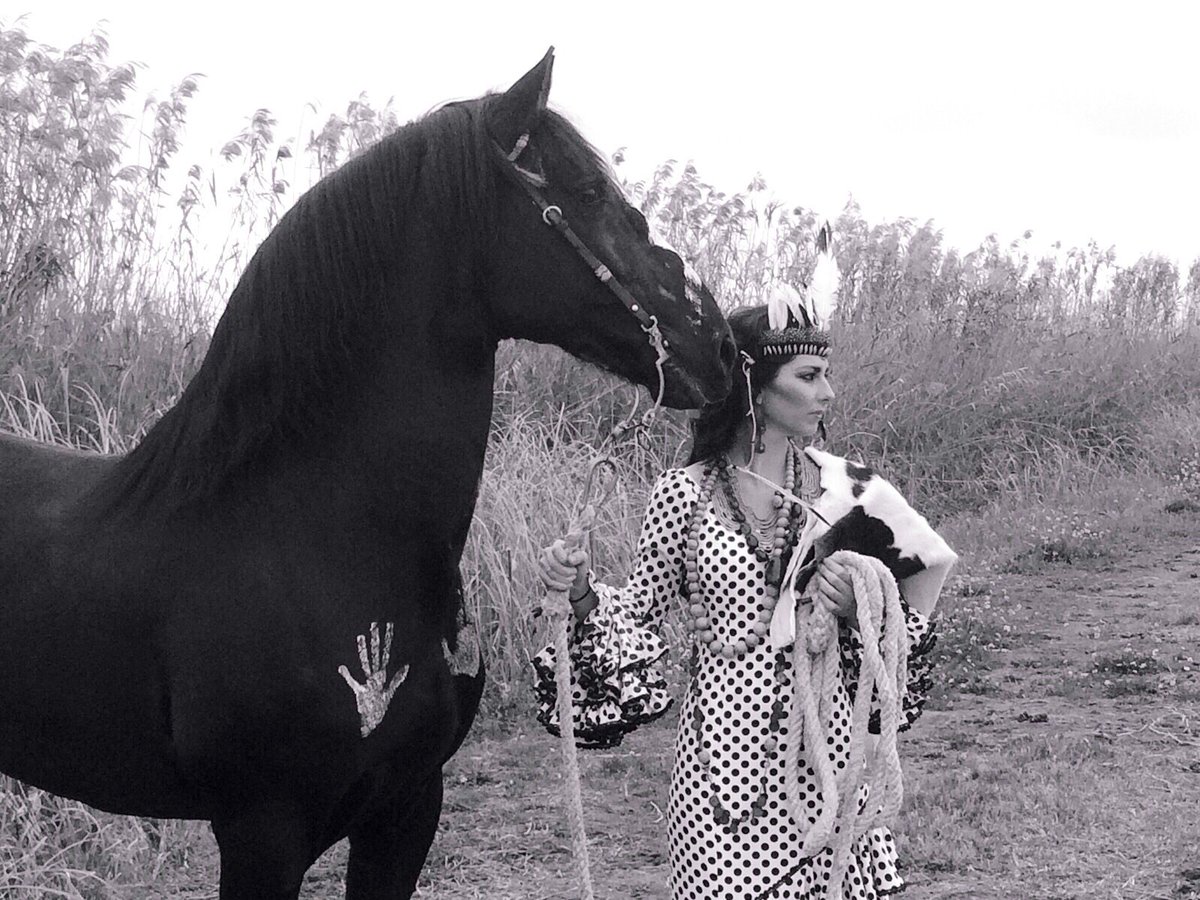 CaballosPRE's tweet photo. La diseñadora @RocioPeraltaMF y los caballos PRE "Tul" y Primavera XXIV

#DelOestehaciaelSur
(Fotos Nicolás de Haro) https://t.co/eF3w5hhxf3