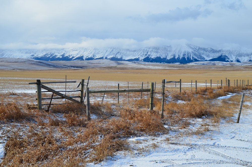 Canada's tweet photo. #DYK Alberta &amp; B.C. make up some of the beautiful backdrops of #GoldenGlobes best drama @RevenantMovie? https://t.co/3tOPy5j29p