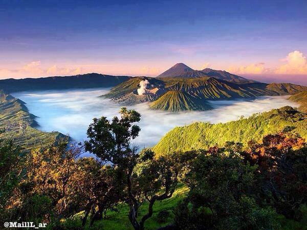 جبل رومو شرق جاوا - إندونسيا CYi4Av3WYAA3uOj