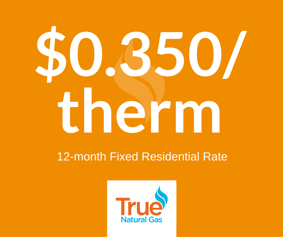 TrueNaturalGas's tweet image. Switch to #TNG for the lowest 12-mo fixed residential rate in GA: $0.350! Click: bit.ly/1eGEtaY.
