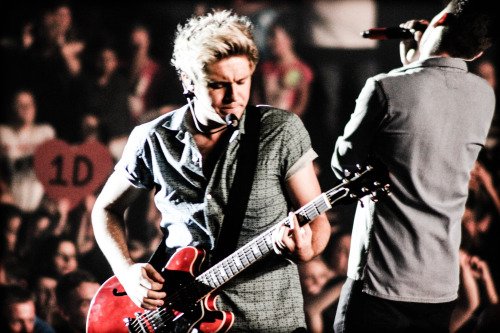 TeamDirectionBR's tweet photo. Niall tocando guitarra é uma perfeição sem fim 😻💜

#DirectionersShazam
#OneDBestFans2016

https://t.co/eVq4nBdTw0