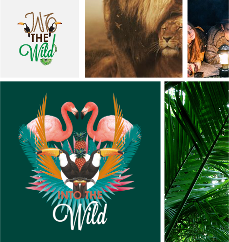 DarlingBox's tweet photo. Semaine difficile et morose?? 
Direction l'inconnu à 2 avec le coffret "Into The Wild":
https://t.co/pmlxX2zJcc https://t.co/jH7WHRUNjz