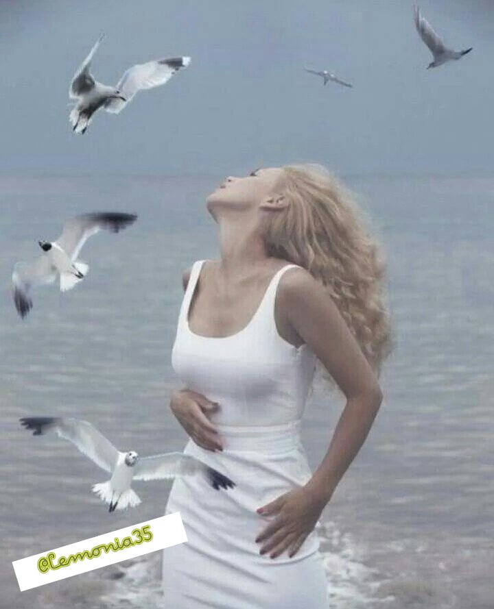 lemonia35's tweet photo. Uçun Ey Güzel Martılar;
Bembeyaz Hayallerime Kanat Açın
Uçun O"nun Şehrine
Sevdiğime Diyin ki
~Ben Aşk"ına Talibim✔ https://t.co/5lZwRyTJ9k