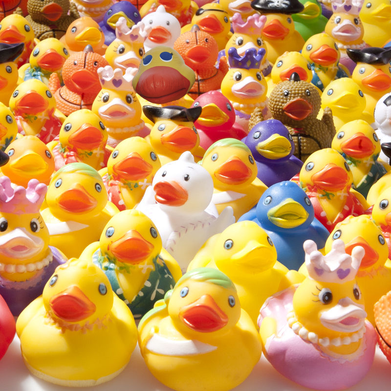 Forget finding the panda, can you find me in this pic with all my friends?