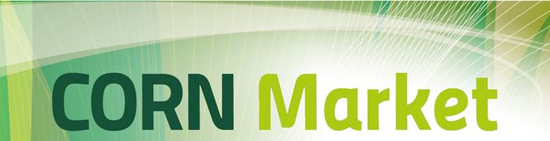 AGPM_mais's tweet image. [NOUVEAU] Le #corn market n°13 est en ligne bit.ly/1PUxadI
