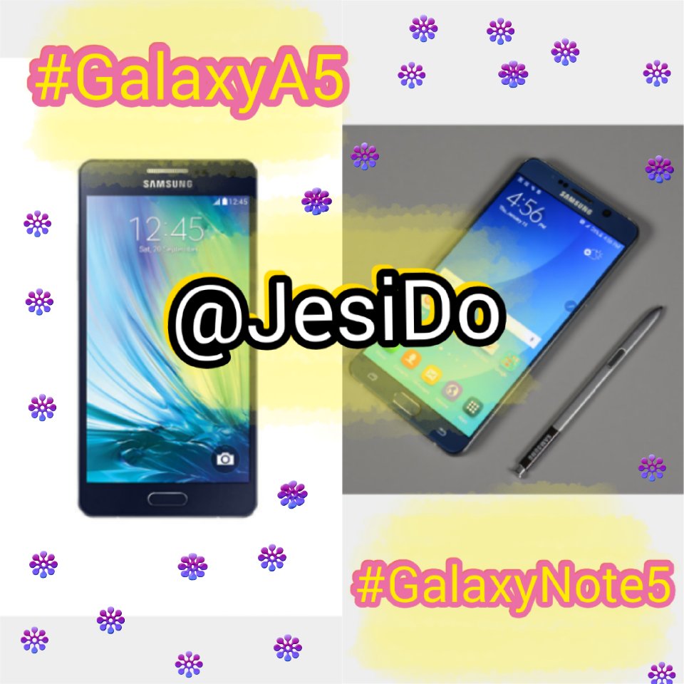 Jesica Fernandes tweet media